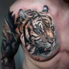 Tatuaż na piersi tygrys