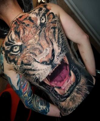 Męski tatuaż tygrys na plecach