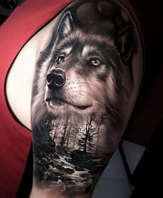 Męski tatuaż wilk na ramieniu