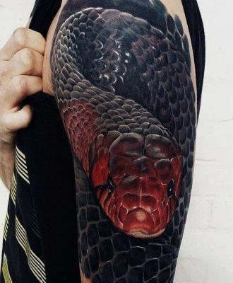 Tatuaż męski na ramieniu wąż