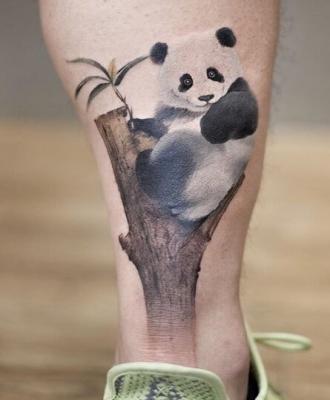 Tatuaż panda na drzewie