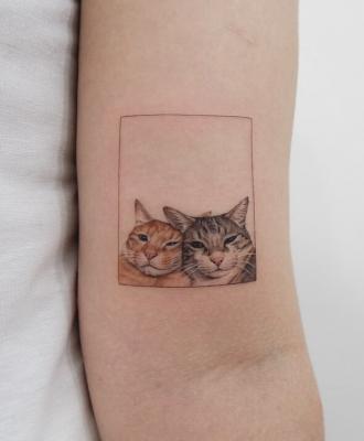 Tatuaże koty