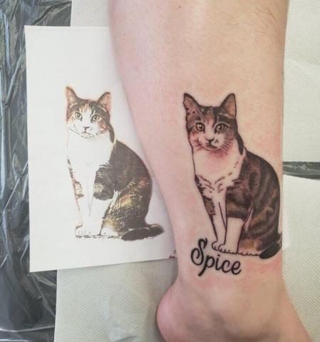 Tatuaż na nodze kot