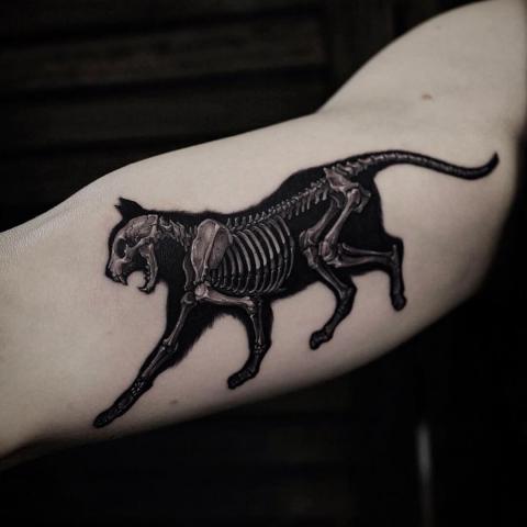 Tatuaż szkielet kota